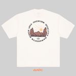  Футболка мужская Dickies Outdoor артикул:DK0A4Z8PC481 - купить в магазине Дайс