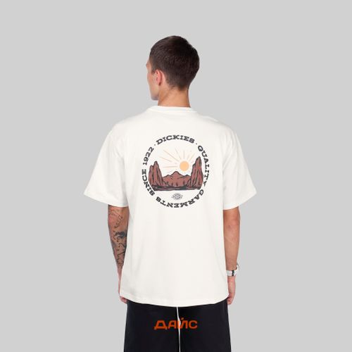 Футболка мужская Dickies Outdoor артикул:DK0A4Z8PC481 - купить в магазине Дайс