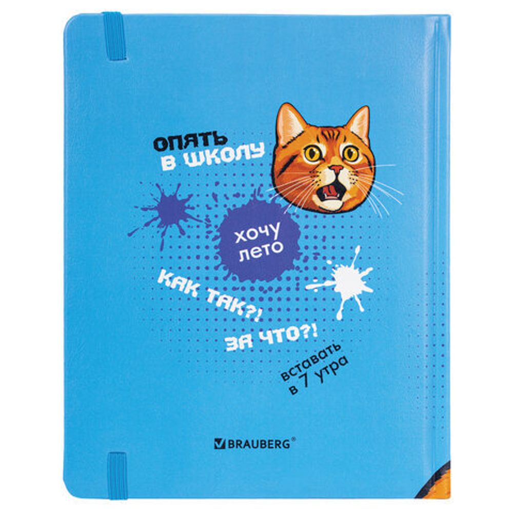 Дневник 1-11 класс 48 л., кожзам (твердая), печать, резинка, конверт, BRAUBERG, "Опять в школу", 107231