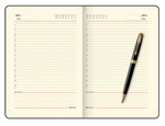 Подарочный набор Parker: шариковая ручка Parker Sonnet GT 1931497 и ежедневник чёрного цвета с имитацией под кожу рептилии