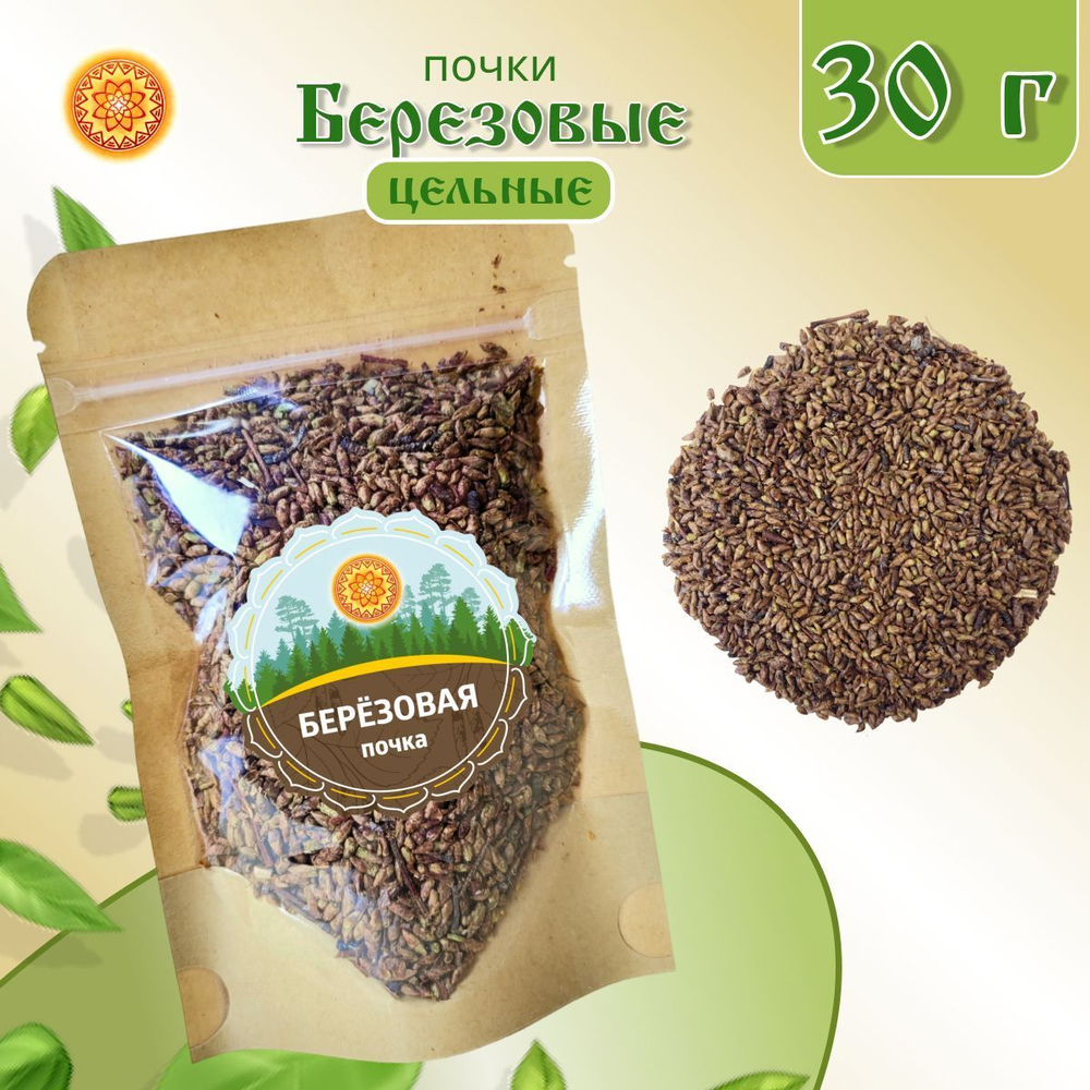Березовые почки.