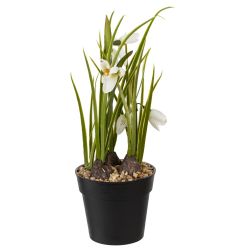 GAEM Цветочная композиция "Подснежник", L10 W9,5 H29 см