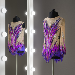 художественная гимнастика