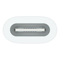 Адаптер-переходник Apple USB-C для Apple Pencil (MQLU3) White
