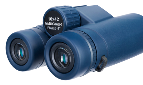 Бинокль Levenhuk Discovery Elbrus 10x42