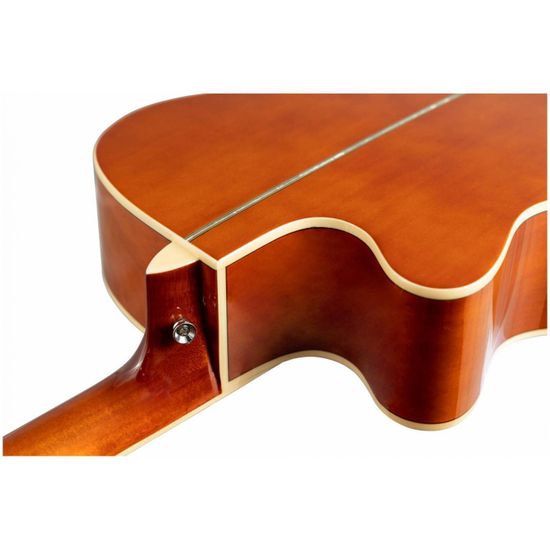 Акустическая гитара в наборе FLIGHT F-230 NAT PACK