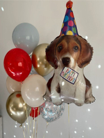 Фольгированный шар-фигура «Щенок в праздничном колпаке» 74 см/ 104 см