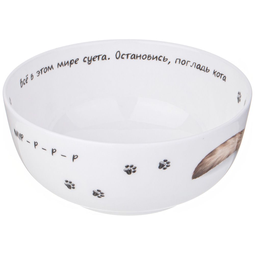 САЛАТНИК-ТАРЕЛКА СУПОВАЯ LEFARD "БЕРИ КОТА" 750 МЛ 15,5*6,5 СМ (КОР=36ШТ.)