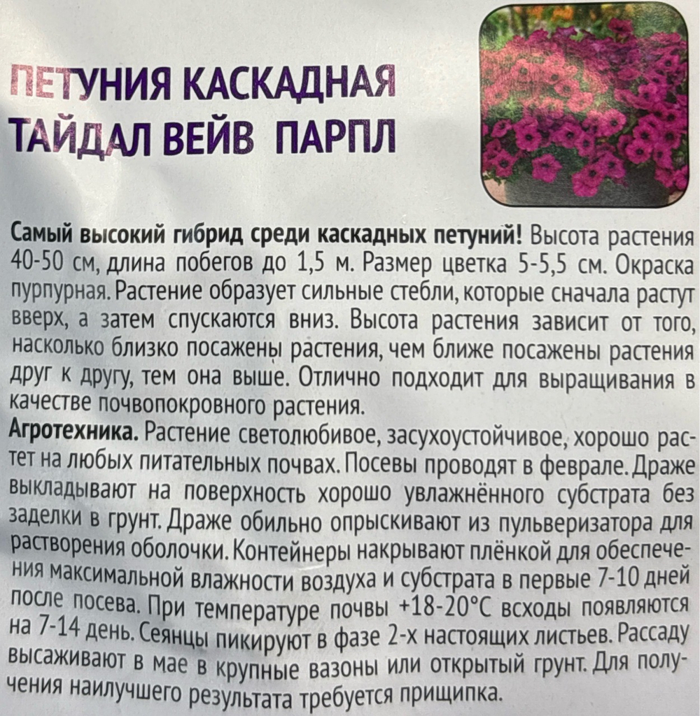 Петуния Тайдал Вейв Парпл 5 шт каскадная рядом