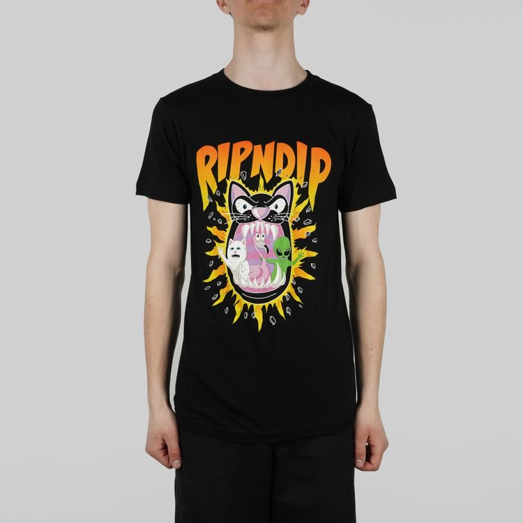 Футболка мужская Ripndip Hellavanight Tee артикул:RND7069 - купить в магазине Дайс