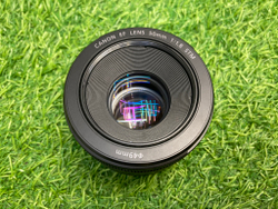 Canon EF 50mm 1.8 STM