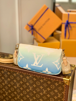 Louis Vuitton Multi Pochette Accessoires
