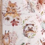 Лесные звери