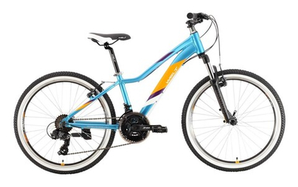 Подростковый велосипед WELT Edelweiss 24" (2021)