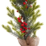 Елка в горшке «Ягодное очарование» 60 см