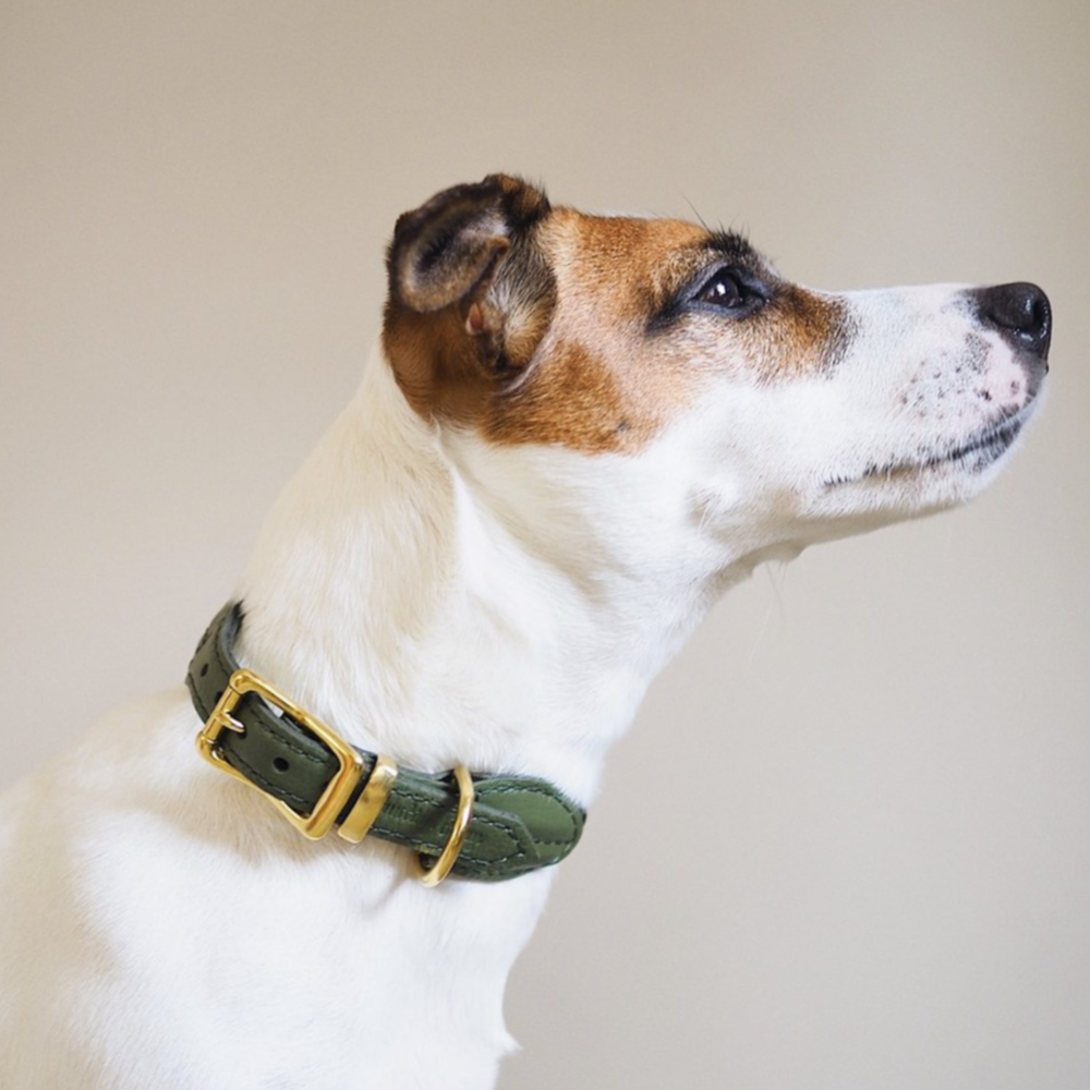 Ошейник «Пони-макарони» HuntingPony