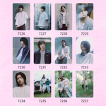 Карты / Dragon Pony