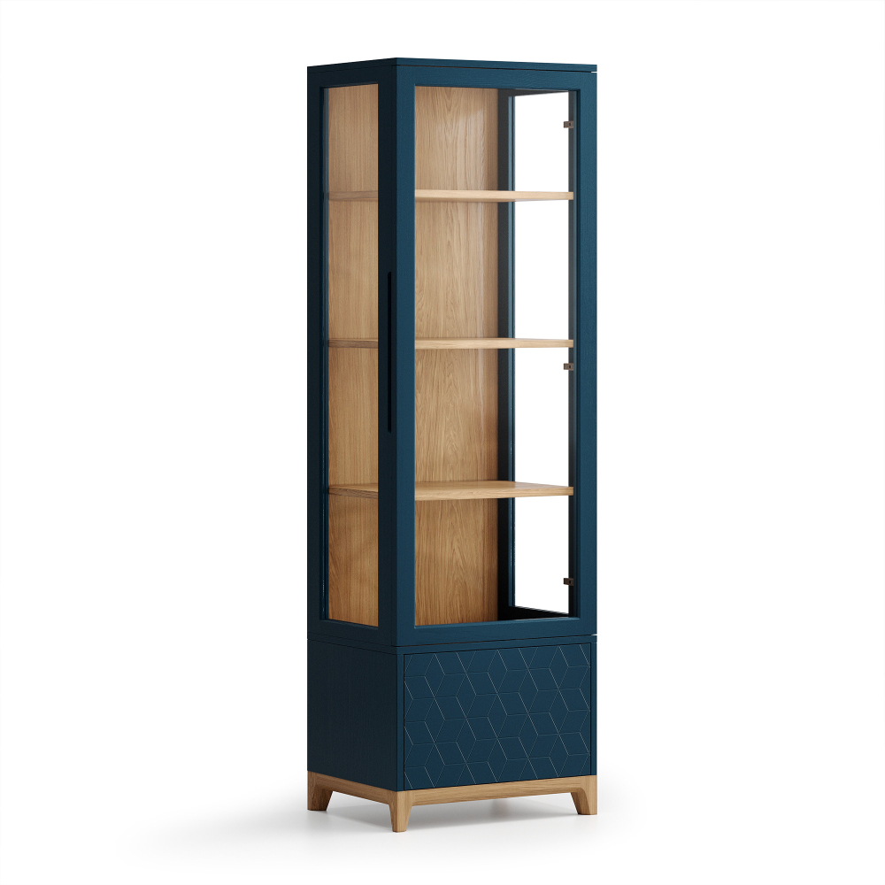 Узкая витрина Case CS161