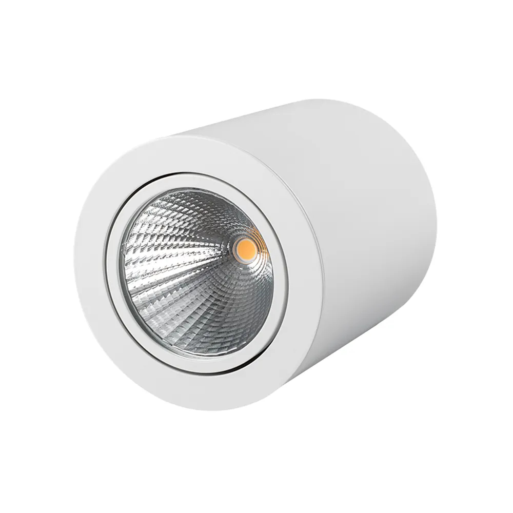 Светильник SP-FOCUS-R120-16W Warm White (Arlight, IP20 Металл, 3 года) 021065