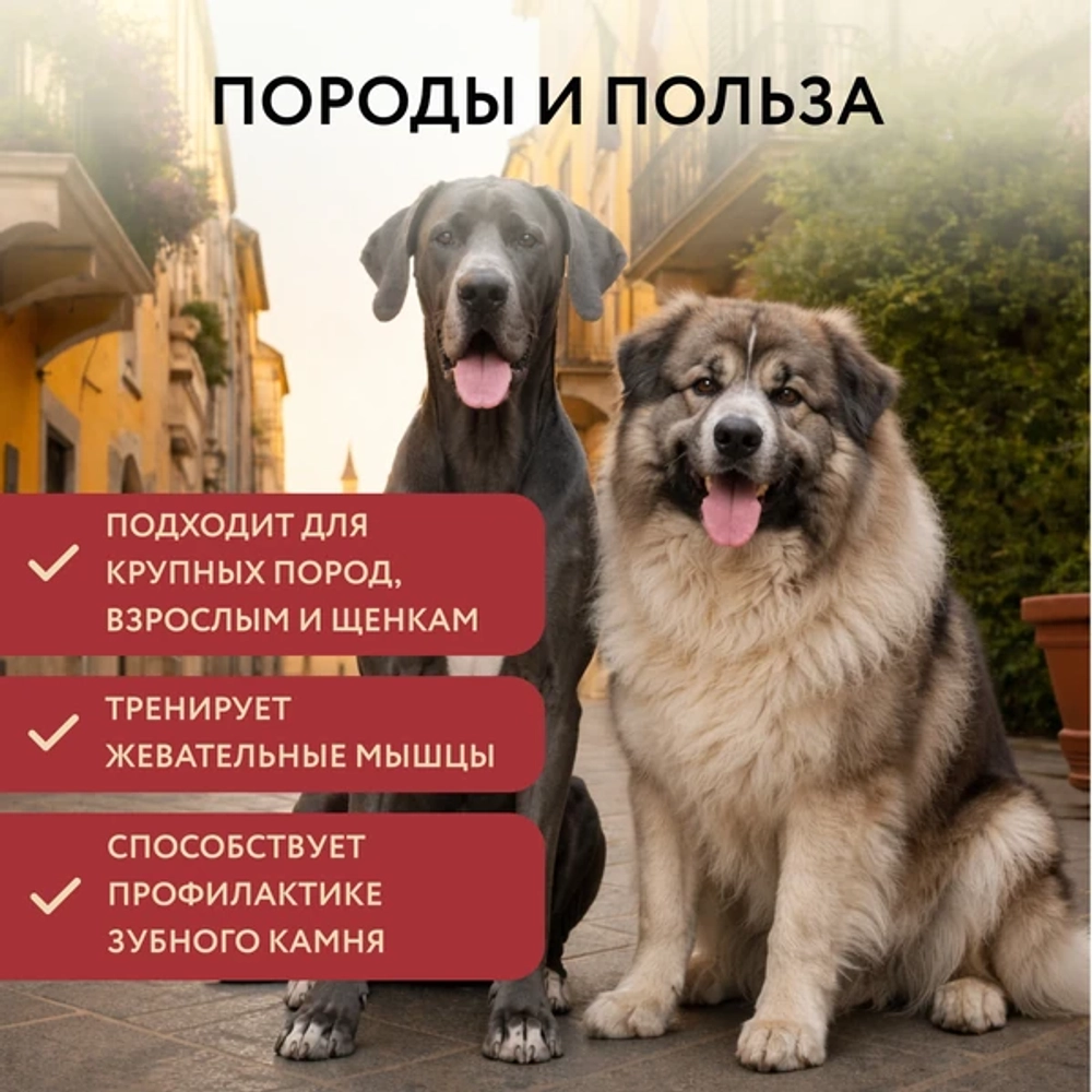 МНЯМС ДЕЛИКАТЕС Лакомство для собак Пармская косточка, размер XXL, 120 г