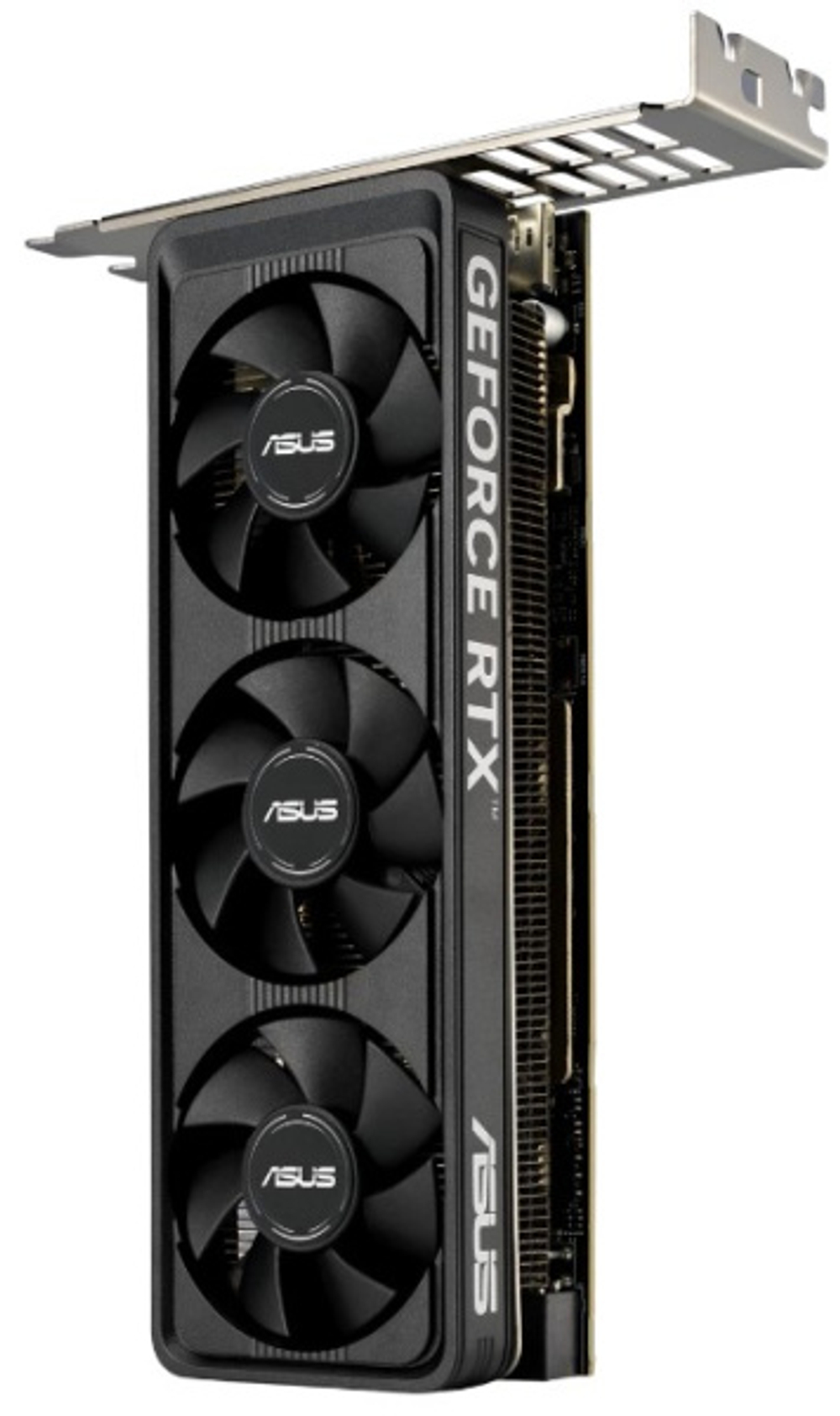 Видеокарта ASUS GeForce RTX 5060 LP BRK OC (RTX5060-O8G-LP-BRK)