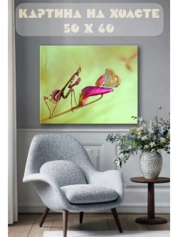 Картина на стену 40 X 50 Богомол и бабочка