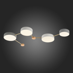 Светильник потолочный Evoluce Dossena SLE600102-04