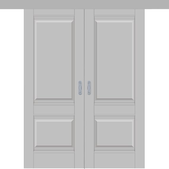 Фото двустворчатой двери купе 1U в цвете манхеттен
