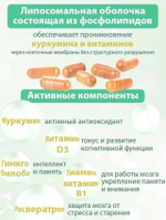 Липосомальный куркумин с РЕСВЕРАТРОЛОМ ДЛЯ ПАМЯТИ И МОЗГА, ВЕГАН, 60 капсул
