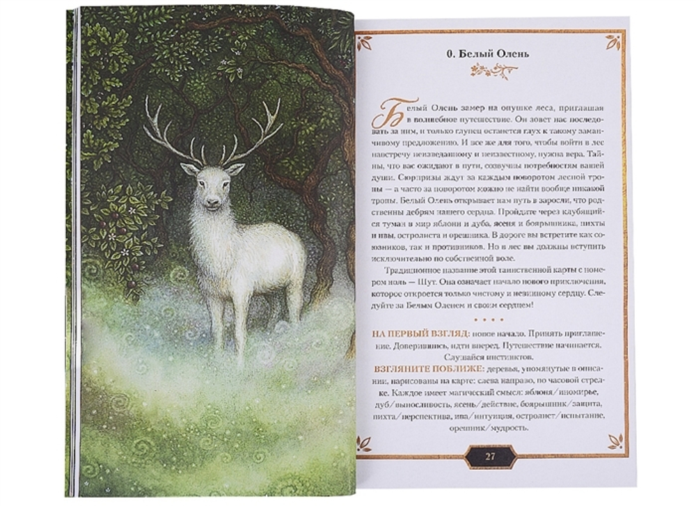 Набор "Forest of Enchantment Tarot / Таро Зачарованного Леса"