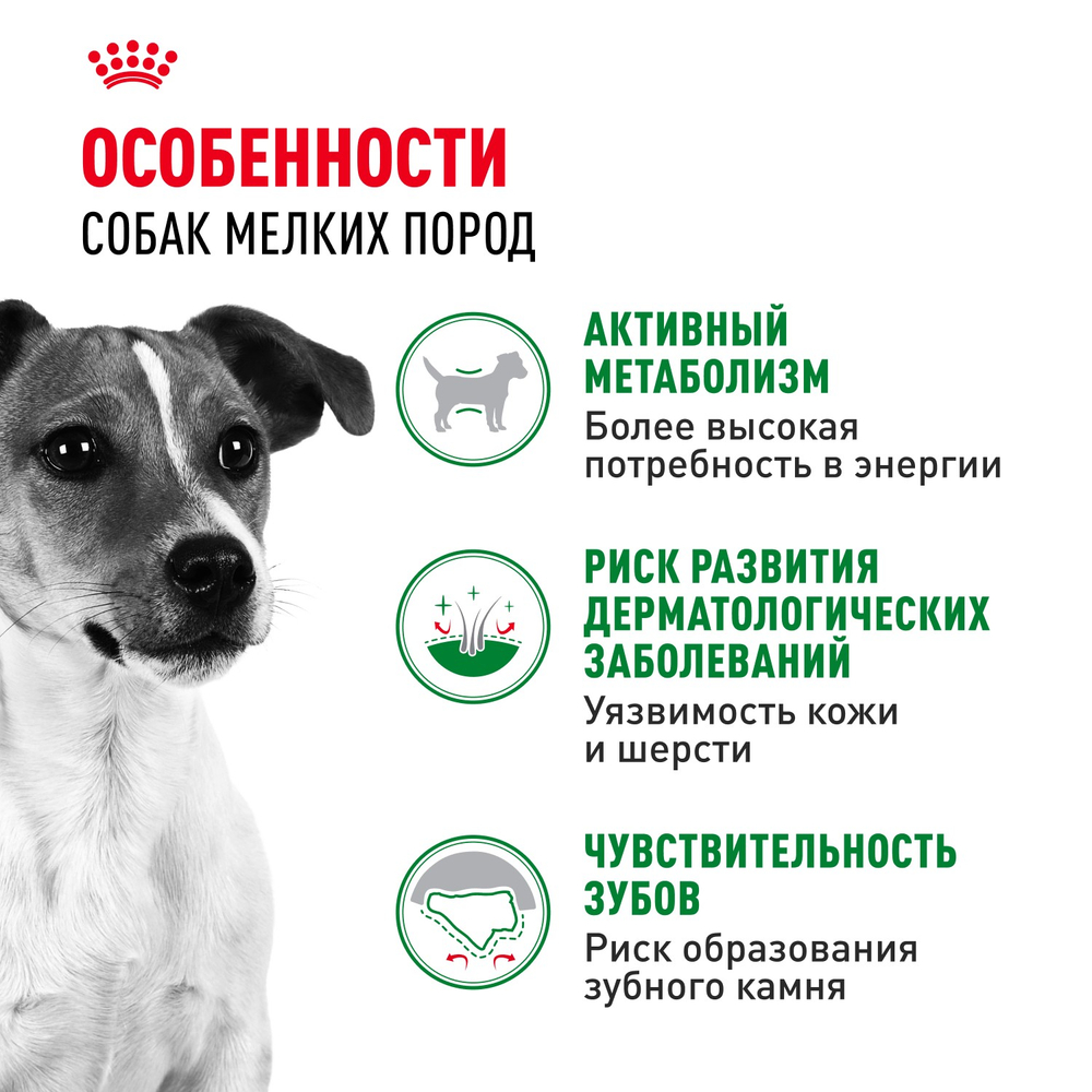 Royal Canin Mini Adult Мини Эдалт Корм сухой для взрослых собак мелких пород от 10 месяцев и старше 4кг