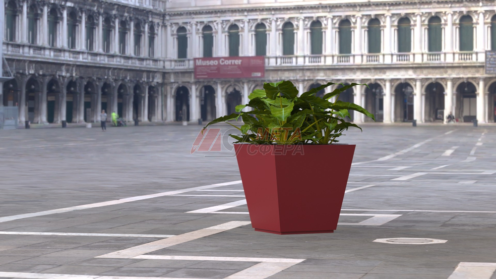 Вазон Феррара