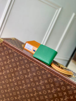 Louis Vuitton Multiple Wallet