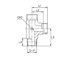 Штуцер FLC DS25 NPT 1 (корпус)