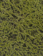 Мох Сфагнум Fuscum оливково-зелёный (полотно на подложке среднее) 50х100 см 24/24 20.0820412M