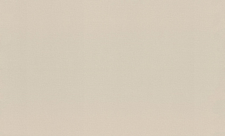 Rasch 1.06m*10m 983517 Novela Xl