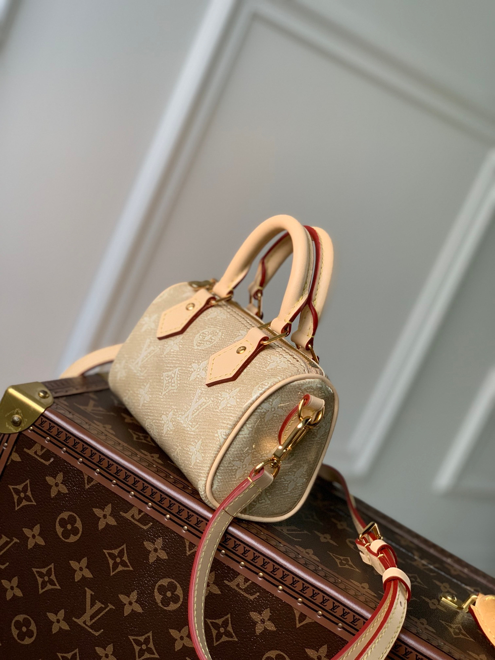 Louis Vuitton Nano Speedy