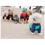 524 PA-OW Дождевик утепленный, для девочки