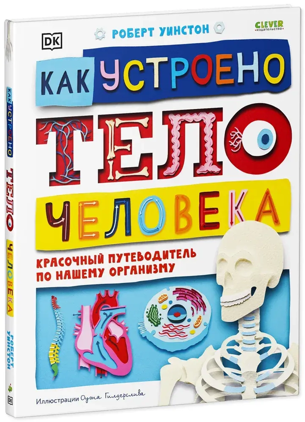 Как устроено тело человека. Красочный путеводитель по нашему организму