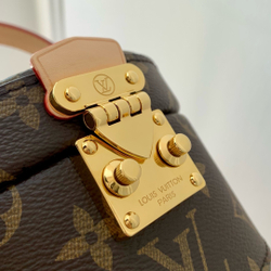 Louis Vuitton Scott