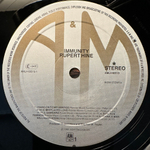 Rupert Hine - Immunity (Голландия 1981г.)