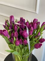 Тюльпаны классика - фиолетовый цвет