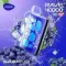 VOZOL RAVE 40000 - Blueberry Ice (5% nic)