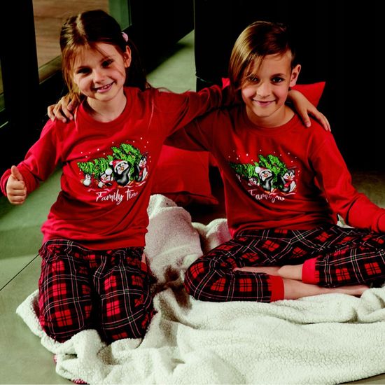 Пижама мужская с длинным рукавом и брюками Cornette 115/203