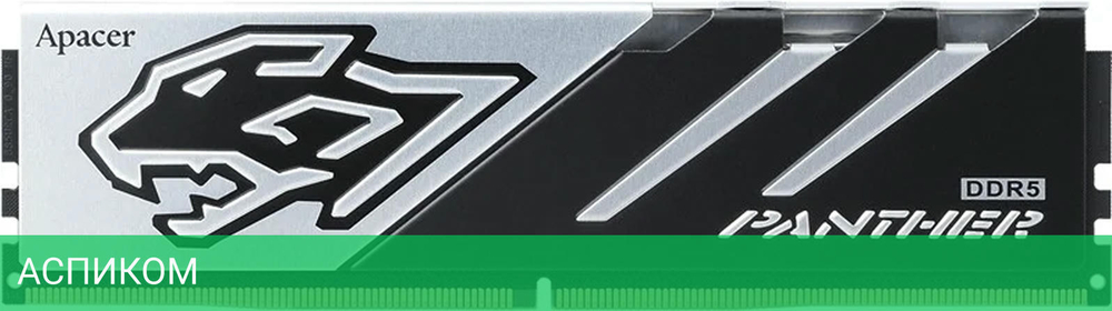 Оперативная память Apacer Panther DDR5 2x32GB (AH5U64G60C6227BAA-2)