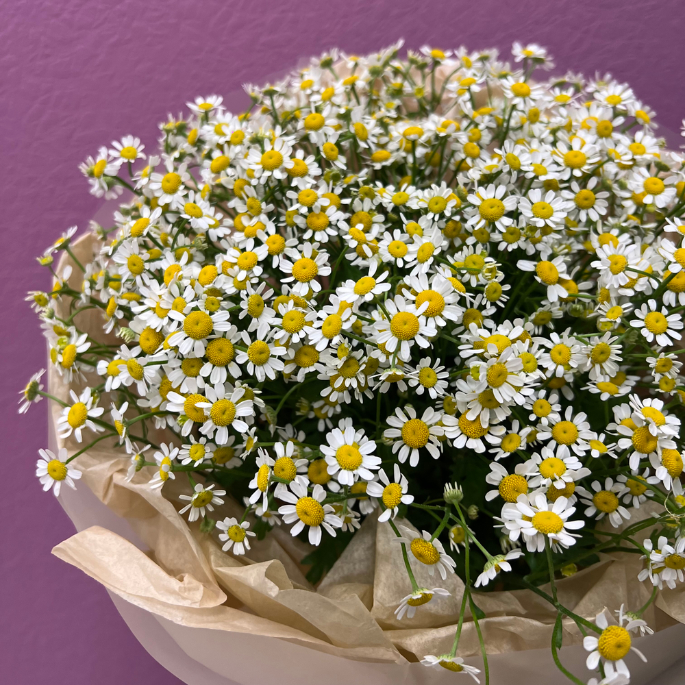 Букет из 19 матрикарий #10