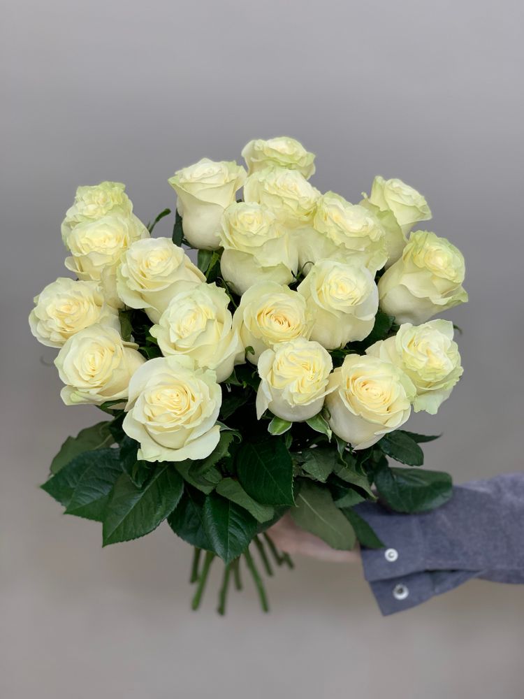 Букет 19 белых роз Эквадор 60см в ленте