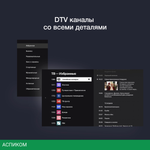 Телевизор LED Starwind 40" SW-LED40SG300