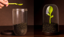 Контейнер для сыпучих продуктов sprout jar