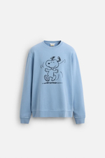 Толстовка с эффектом потертости и принтом snoopy™